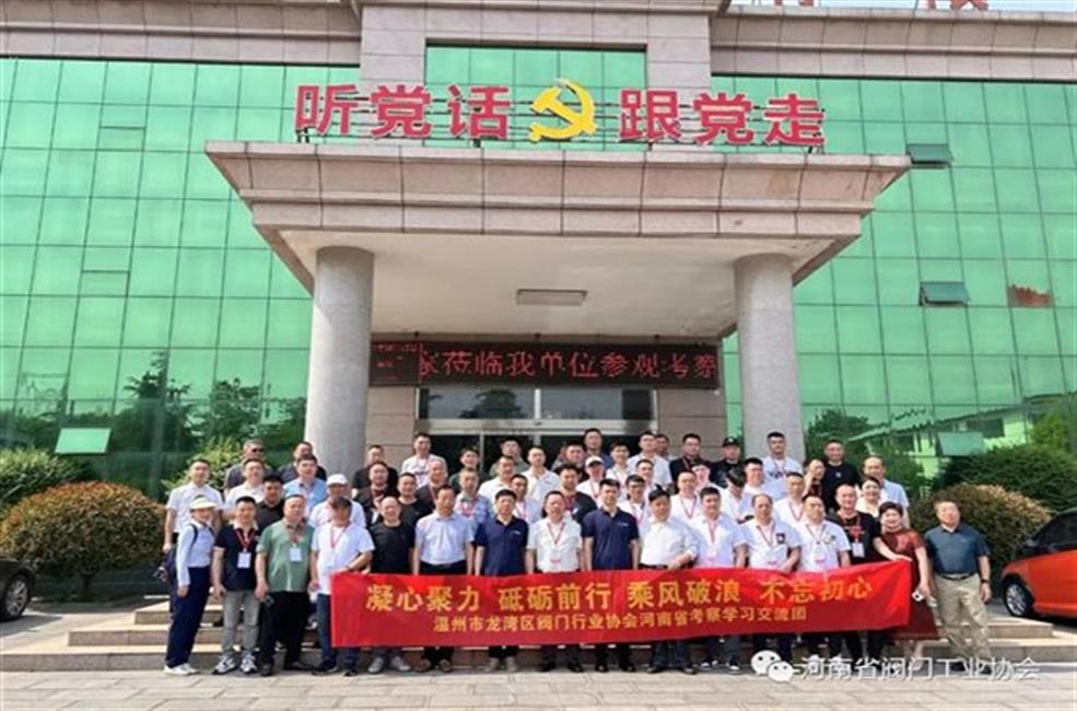 龙湾考察团